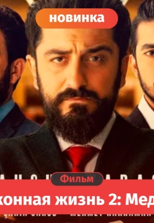 Незаконная жизнь 2: Меджлис